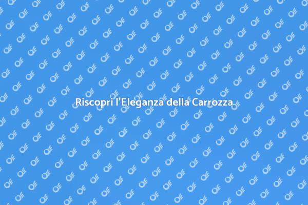 L'Esperienza Unica di una Carrozza