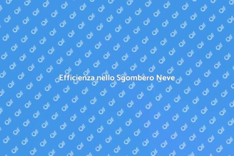 Sgombero Neve: Sistema Efficiente