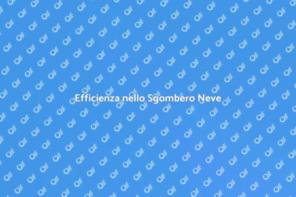 Sgombero Neve Efficiente per Inverno Sicuro