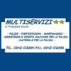 Multiservizi 