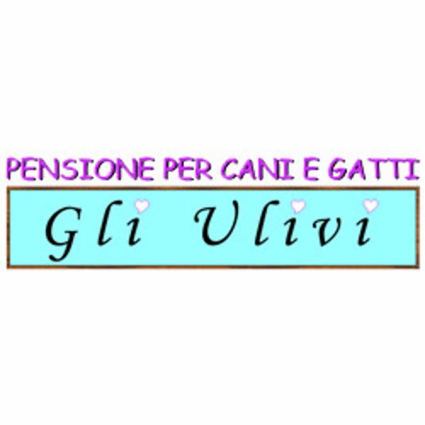 Pensione per Cani e Gatti Gli Ulivi  - Foto 1