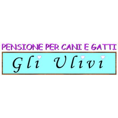 Pensione per Cani e Gatti Gli Ulivi