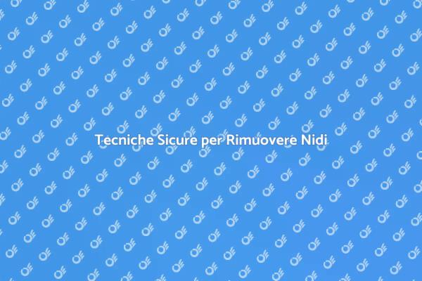 Come Rimuovere Nidi di Uccelli