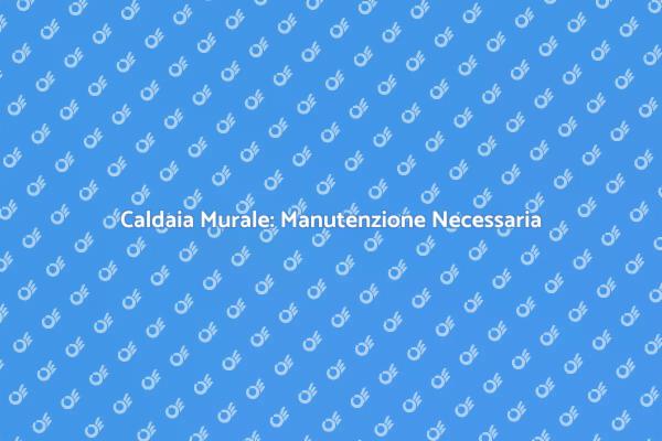 Manutenzione Caldaia: Guida Pratica