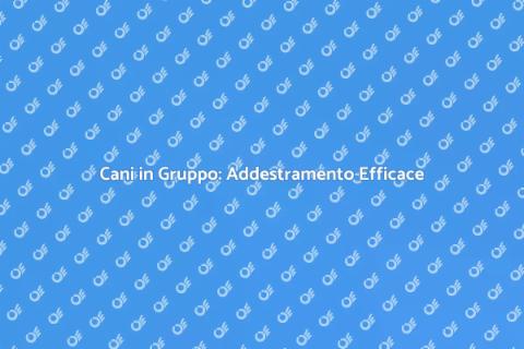 Addestramento Cani in Gruppo Efficace