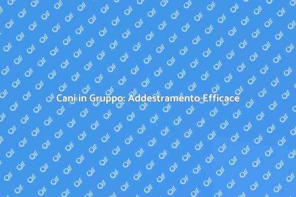 Addestramento Cani: Unisciti al Gruppo!