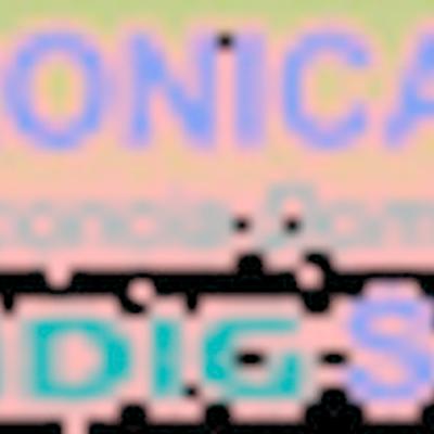 Elettronica A.G.D. Grundig Service