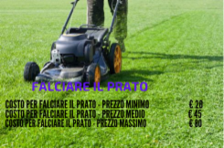 Pulizia Fantasy Services - Foto 9