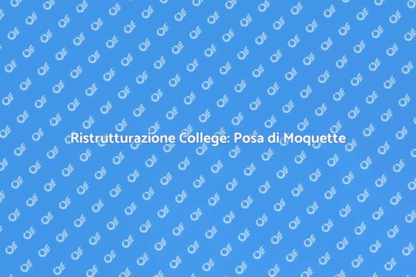 Ristrutturazione College con Moquette