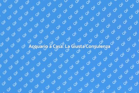 Consulenza Acquario a Casa: Scopri di Più