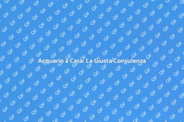 Acquario Perfetto: Consulenza Professionale