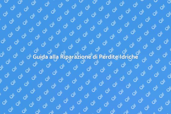 Riparare Perdite nella Rete Idrica