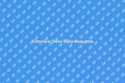 Rimuovere Odori dalla Moquette