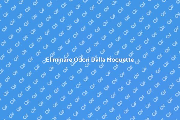 Odori nella Moquette? Ecco Come Rimuoverli