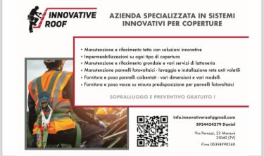 Innovative Roof di Popinciuc Daniel - Foto 3