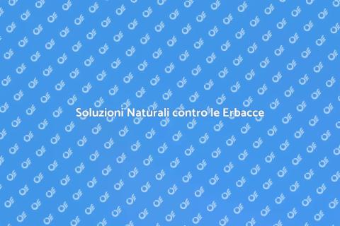 Impedire la Proliferazione delle Erbacce