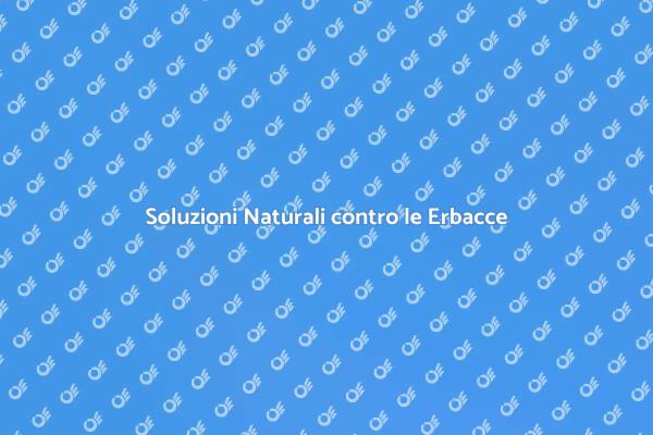 Liberati dalle Erbacce nel Tuo Giardino