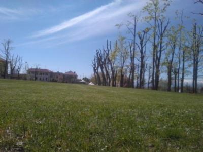 Bounous Luca - Lavori di Giardinaggio  - Foto 4