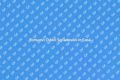Eliminazione Odori in Casa