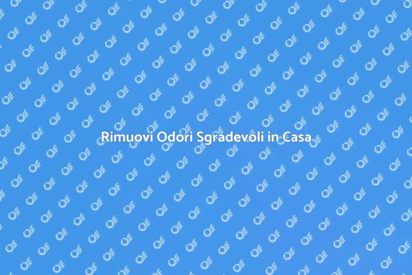 Come Eliminare Odori in Casa