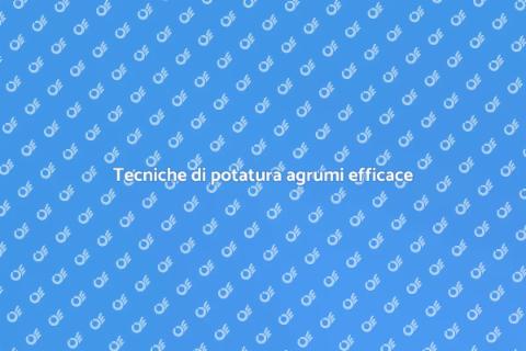 Potatura agrumi: tecniche efficaci