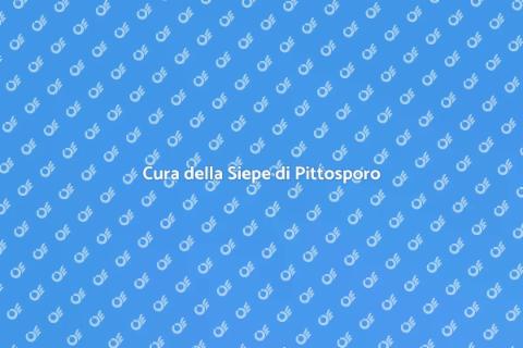 Siepi di Pittosporo: Cura e Manutenzione