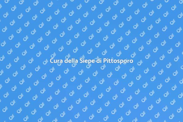 Siepe di Pittosporo: Guida alla Manutenzione