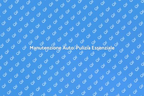 Pulizia Veicoli: Cura e Manutenzione