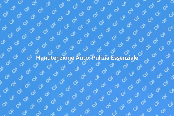 Pulizia Veicoli: Un Passo Fondamentale