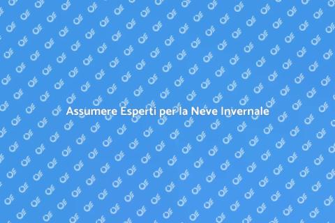 Professionista Rimozione Neve e Ghiaccio