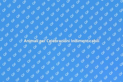 Affitto Animali per Festività Mondiali