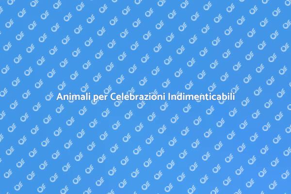 Magia nelle Festività con Animali