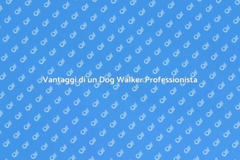Assumere un Dog Walker Professionista