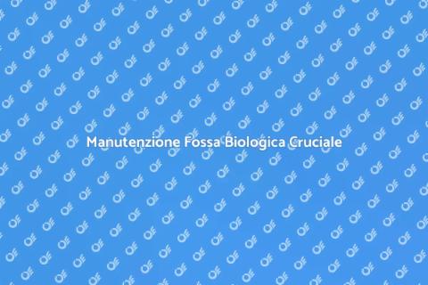 Disostruzione Fossa Biologica Essenziale