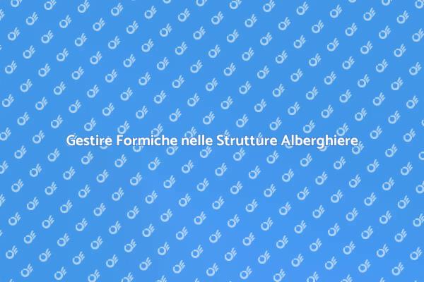 Importanza della Disinfestazione Formiche