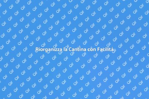 Trasloco Oggetti dalla Cantina