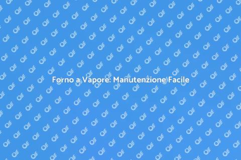 Manutenzione Forno a Vapore Pyrolytic