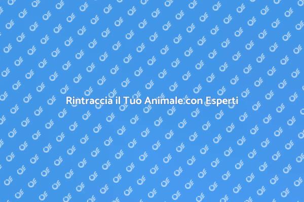 Trova il Tuo Amico a Quattro Zampe