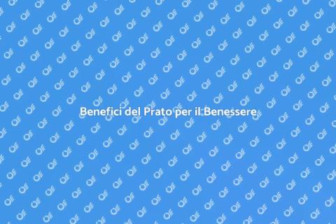 Il Prato che Migliora il Benessere