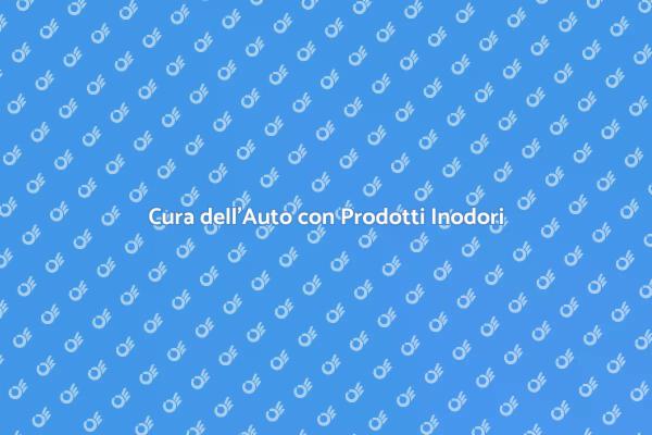 Innovazione nella Pulizia del Veicolo