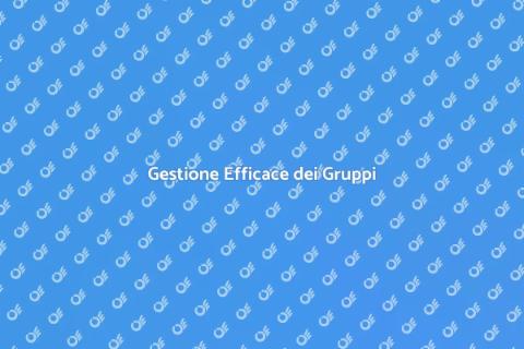 Organizzazione di Gruppi Efficiente