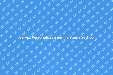 Assistenza Personalizzata per Sistema Settico