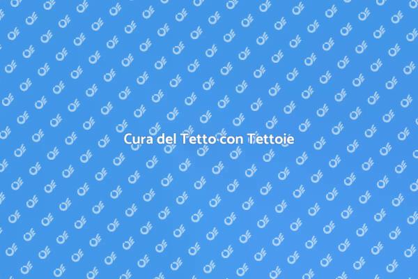 Manutenzione Professionale del Tetto