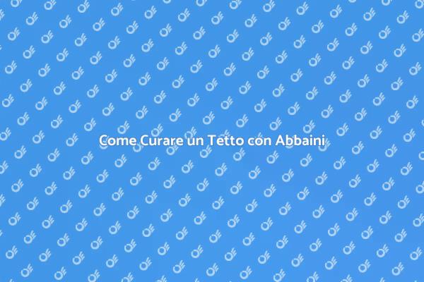 Manutenzione Efficace del Tetto con Abbaini