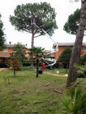 Progetto Verde  - Foto 4