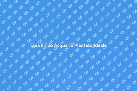Acquario Plantato: Arte e Natura
