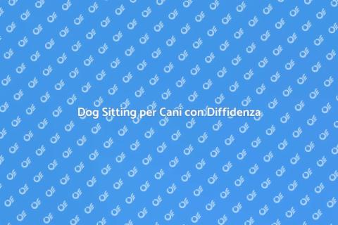 Dog Sitting per Cani Timidi