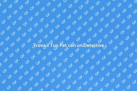 Pet Detective: Trova il Tuo Amico