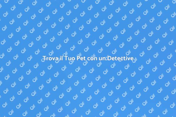 Pet Detective: Un Servizio Indispensabile