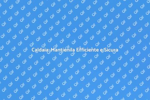 Manutenzione Caldaia: Comfort e Sicurezza